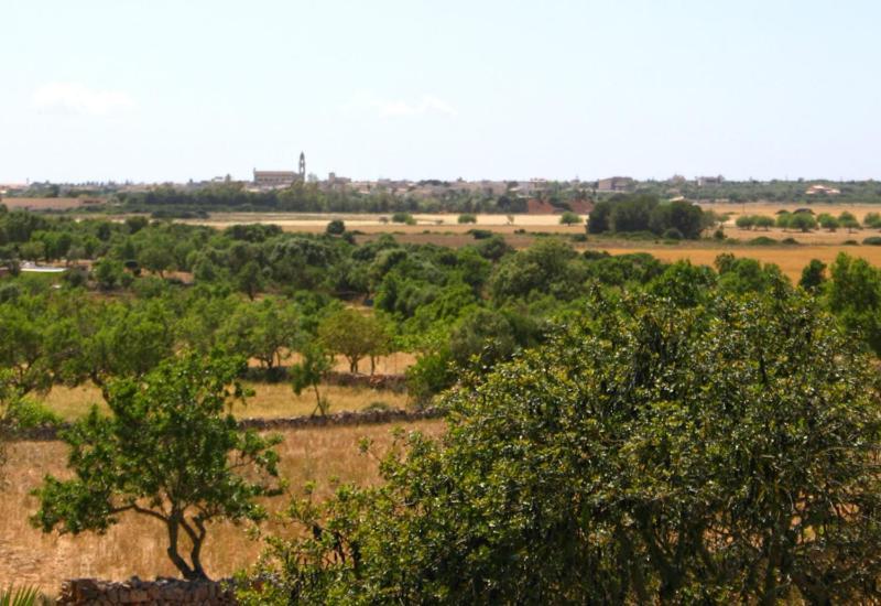 Son Fumat Villa Llombarts Bagian luar foto